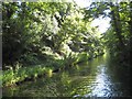 Stratford-on-Avon Canal: Reach in Warstock