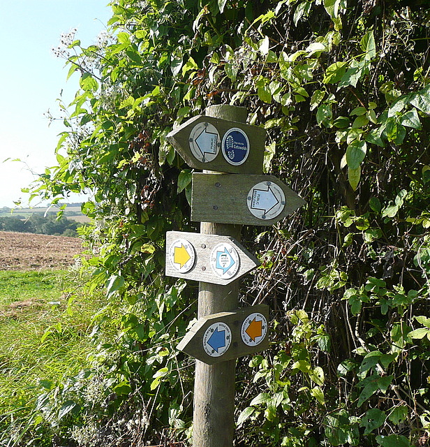 Signpost on the bridleway