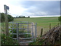 Footpath leading away from Thong Lane