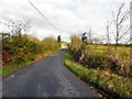 H8416 : Road at Clonavogey by Kenneth  Allen