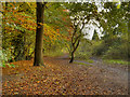 Path to Heaton Mersey Common