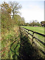 Footpath into Stewkley