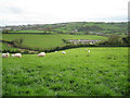 Fields southwest of Kingskerswell