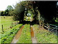 Wye Valley Walk, Glasbury