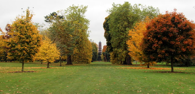 Autumn Colours, Kew Gardens, London