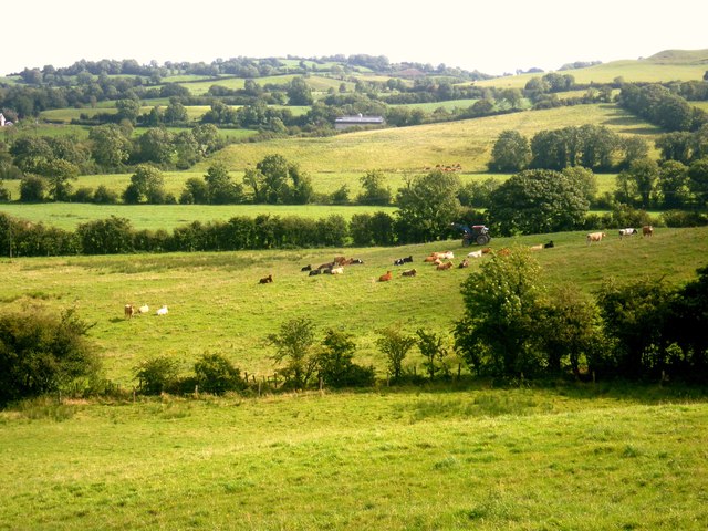 Greenvale Farm, Lisnagalliagh