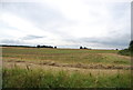 Farmland south of Paglesham Rd