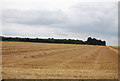 Farmland south of Paglesham Rd