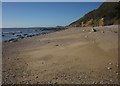 SY1787 : Beach west of Littlecombe Shoot by Derek Harper