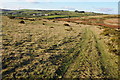 Disgwylfa Hill and farmland