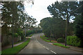 Bend on Wareham Road, Corfe Mullen