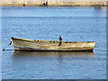 O1834 : Cormorant on a boat in Dublin Harbour by John S Turner