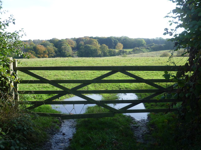 View over a gate from Charmwood Lane
