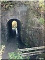 Stream and footpath under the railway