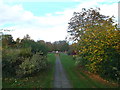 Path in Hextable Recreational Ground