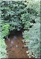 The Kilkeel River above the Sheep Wash Bridge