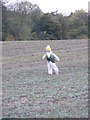 TM3672 : Scarecrow in a field by Geographer