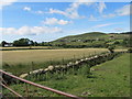 A sheugh separating rough grazing land from hay meadows on the Moyad Road