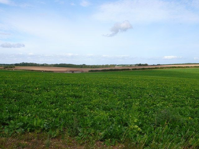 Field Barn near Anmer