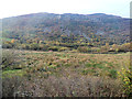 View north from railway towards Mynydd Gorllwyn