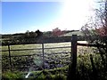 Gate to field, Raw