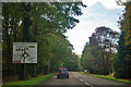 A349 approaching Darbys Corner roundabout