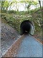 Grenofen tunnel