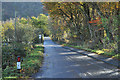 NM9038 : Minor road near Benderloch by Steven Brown
