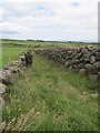 Little used green lane providing access to fields east  of Brackenagh East Road 