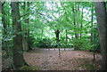 Footpath, Hambledon Common