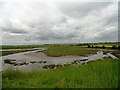 Upper end of Greatham Creek