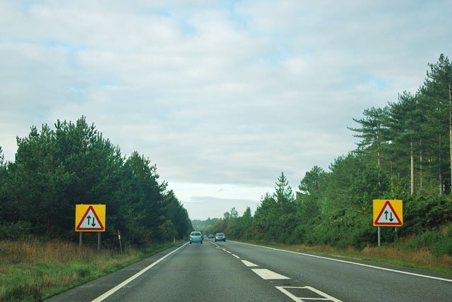 a31-single-carriageway-robin-webster-geograph-britain-and-ireland