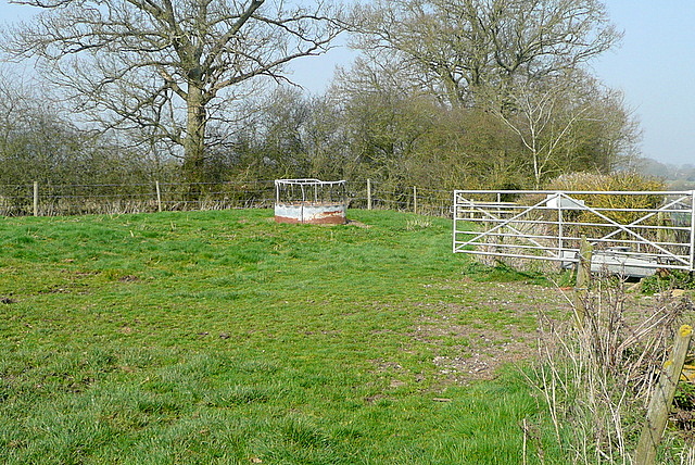 Field corner at Acre Hill Farm
