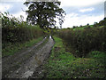 Muddy track near Wilmington