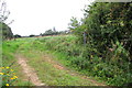 A field just north of the A35 site of Seaview Cottages