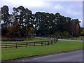 Entrance to Blair Atholl caravan park