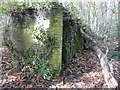 End wall of surface air-raid shelter, Reinden Wood