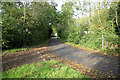 TM1526 : Colchester Road  plenty of leaves down by roger geach