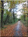 Footpath Near Park Way, Kildrum, Cumbernauld