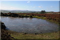 Small pool on Newchurch Hill