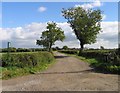 Driveway to Tithe Farm