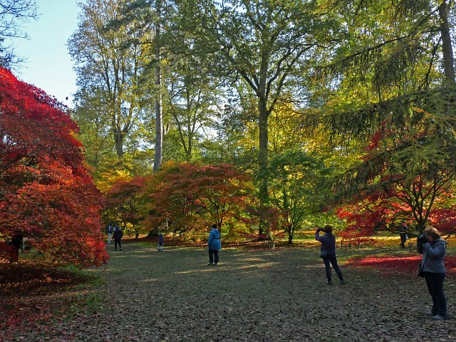 Photographers At Westonbirt Arboretum © Robin Drayton Cc-by-sa/2.0 ...