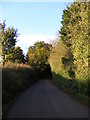 TM3674 : Bramfield Road,Walpole by Geographer