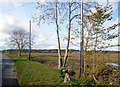 Farmland Near Bayworth Manor