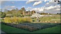 Walled kitchen garden, Clumber Park