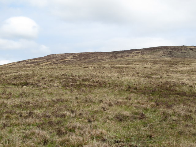 Moorland on the western slopes of Divis
