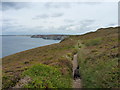 The SW Coast Path west of Polberro Cove