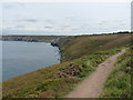 SW Coast Path near Bawden Farm