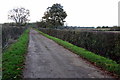 Track towards the Great Ouse