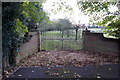 Wrought iron gate into paddocks